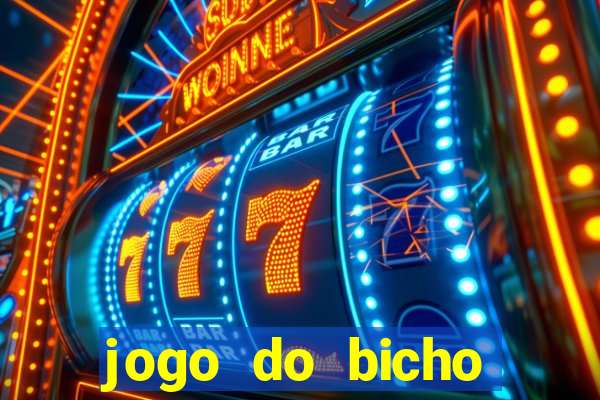 jogo do bicho crash bingo